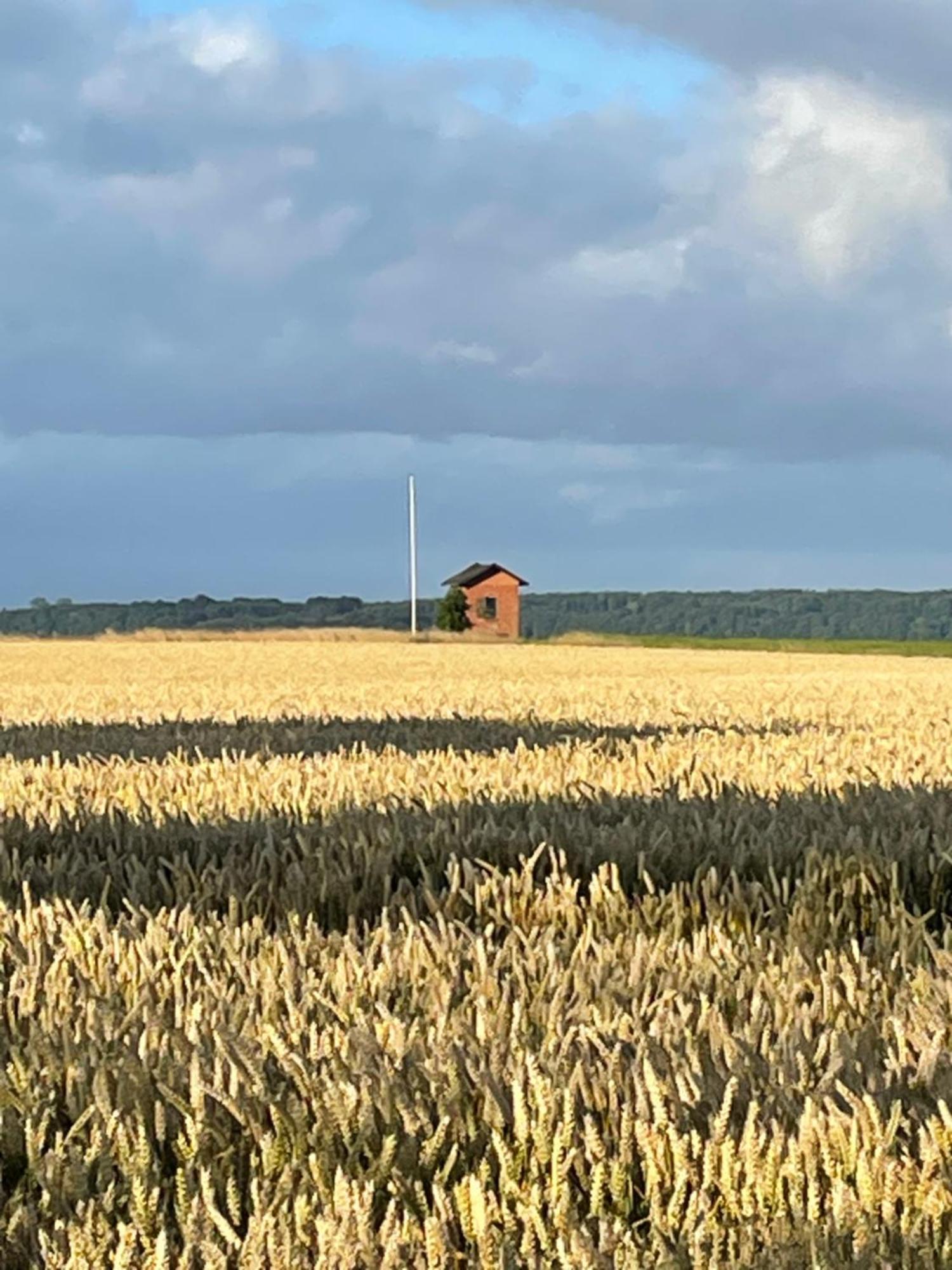 Sovgodt Nyord - Primitiv Overnatning Exteriér fotografie